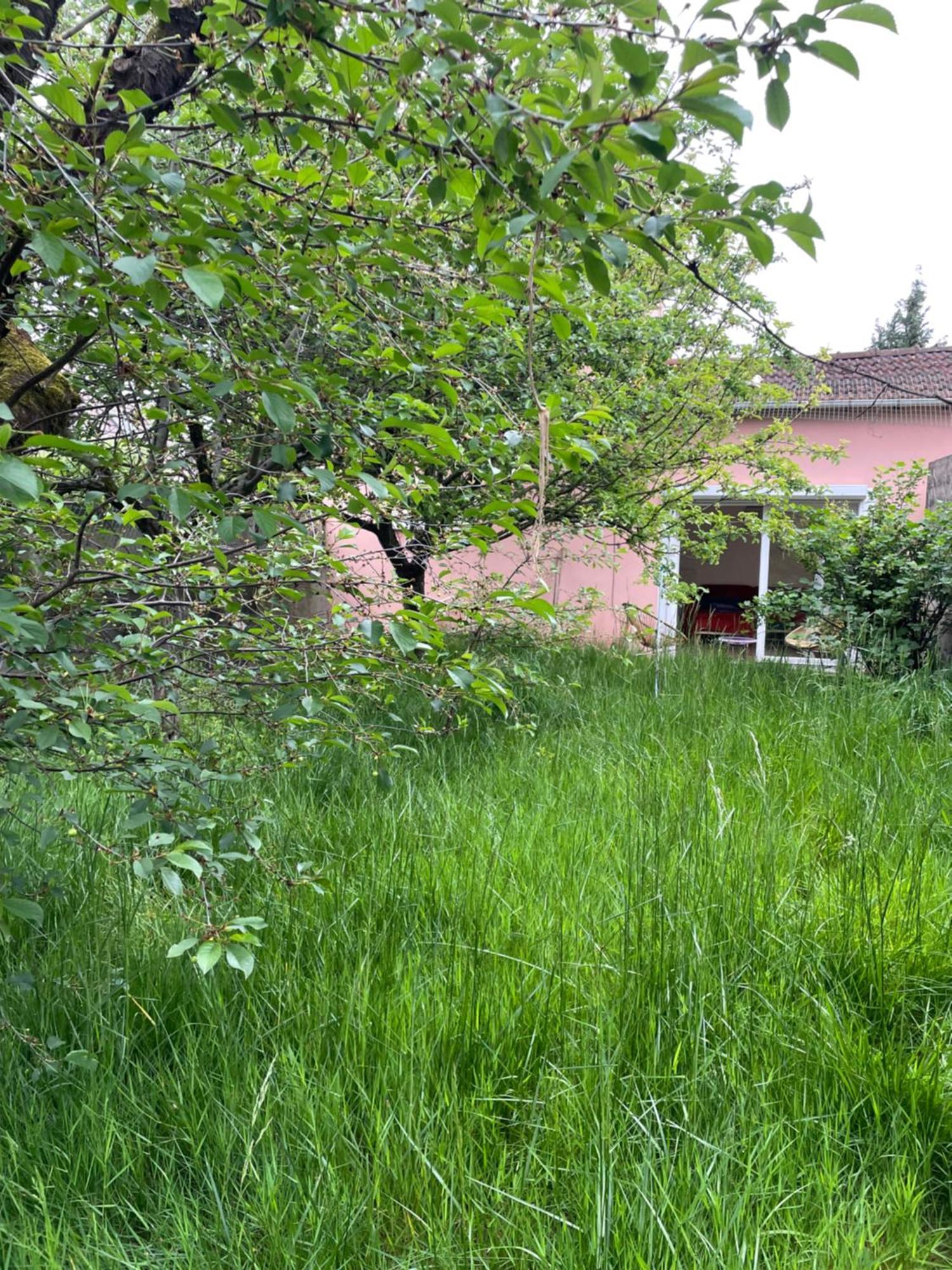 ויטרי-סור-סיין Charmante Maison Avec Jardin Aux Portes De Paris מראה חיצוני תמונה